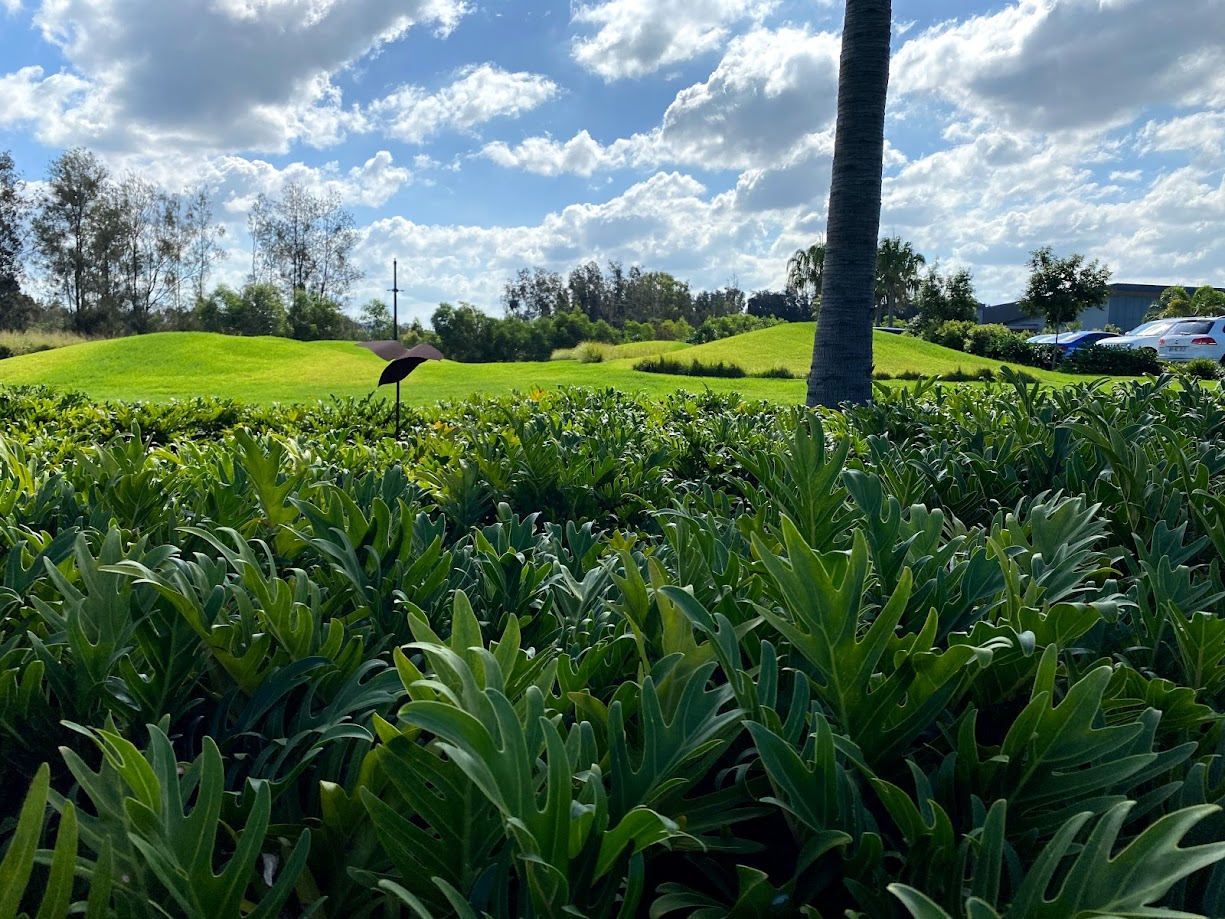 Halcyon Greens14