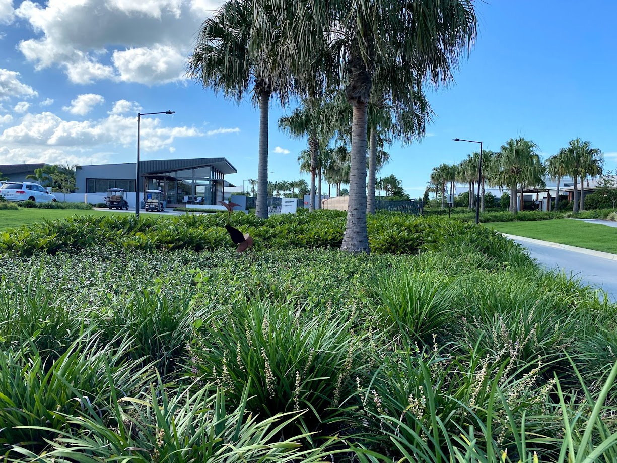 Halcyon Greens15