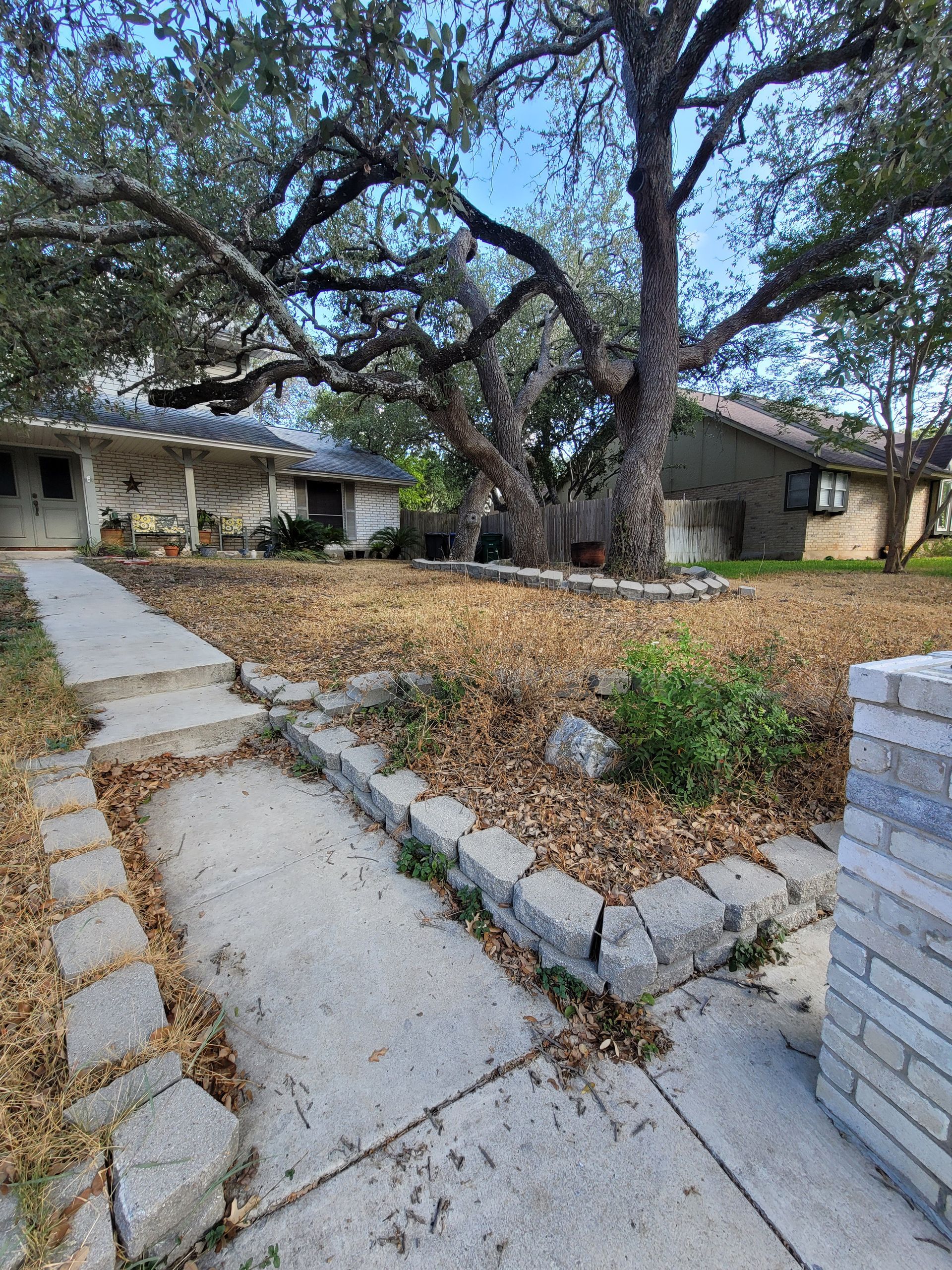 A house with a large tree in front of it and a walkway leading to it .