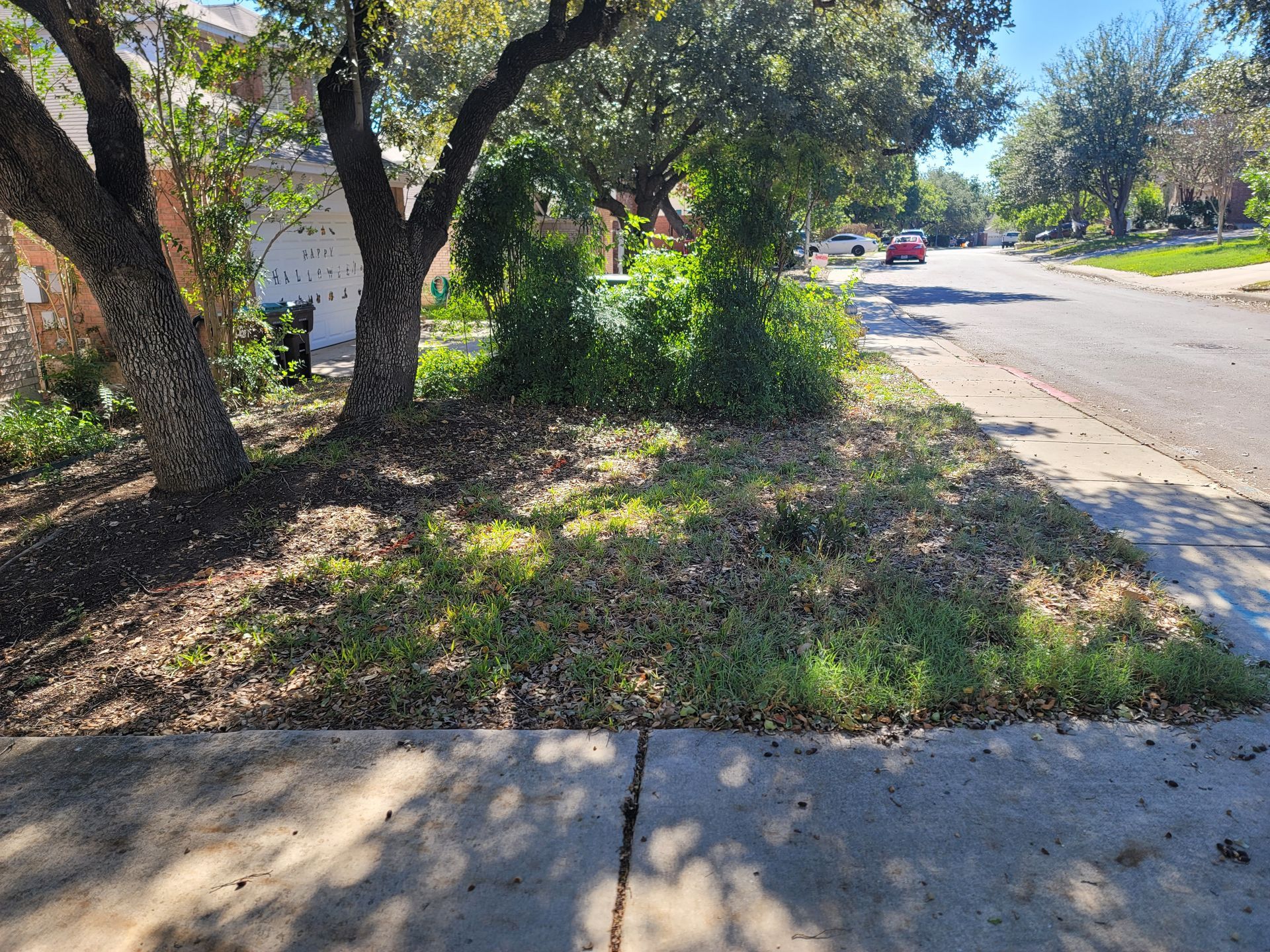 A hose is connected to a tree in the backyard of a house .
