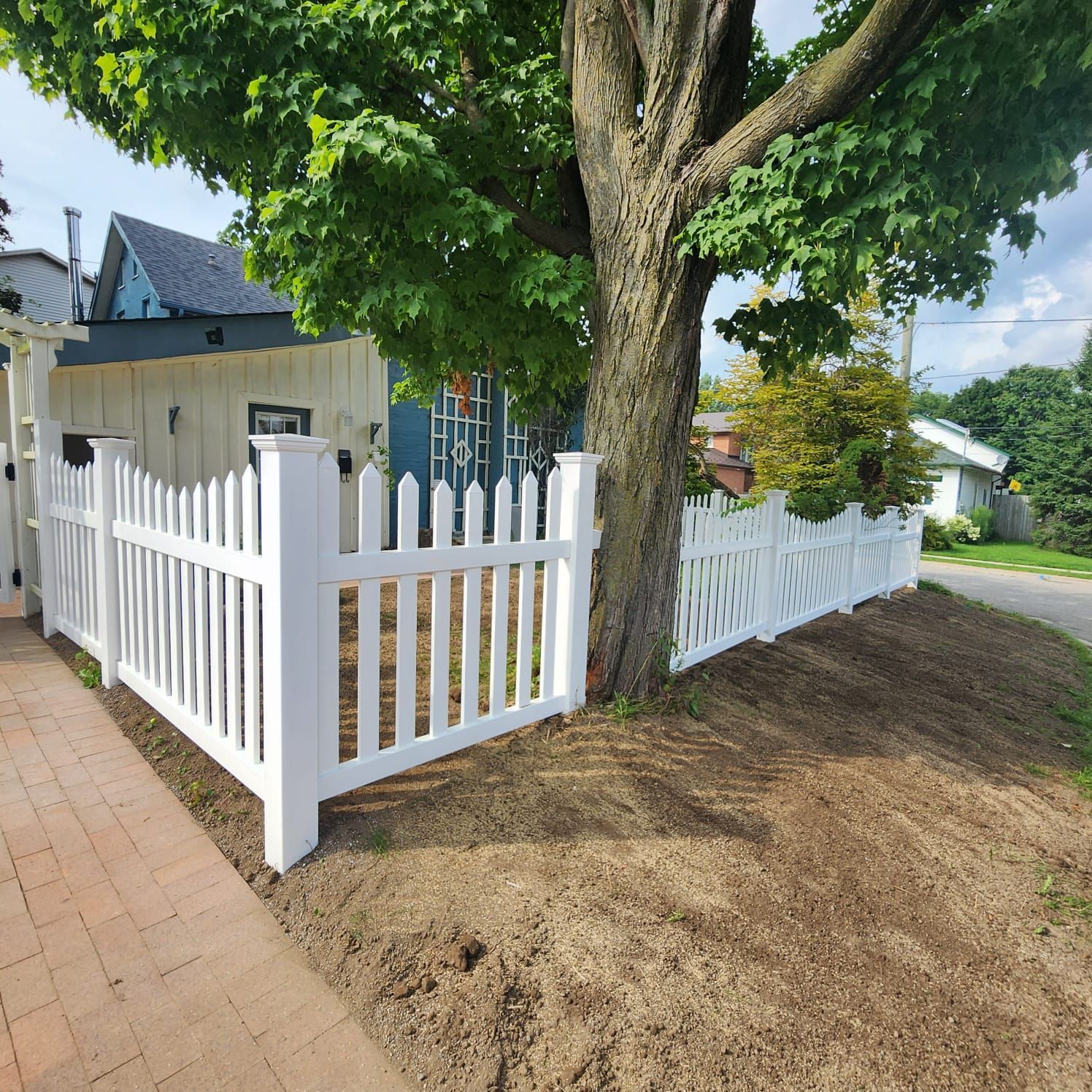 A white picket fence surrounds a tree in front of a house.