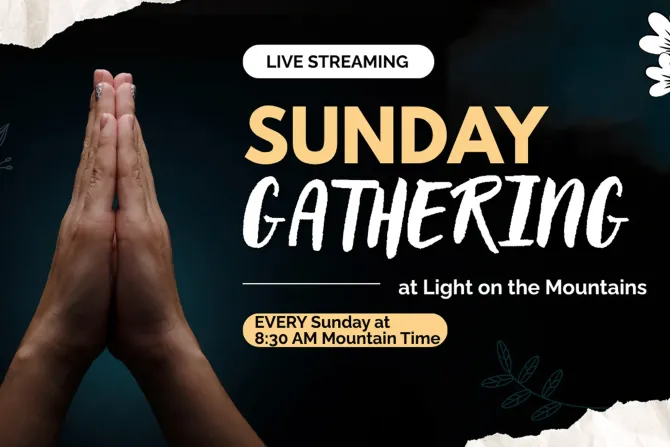 Live Stream