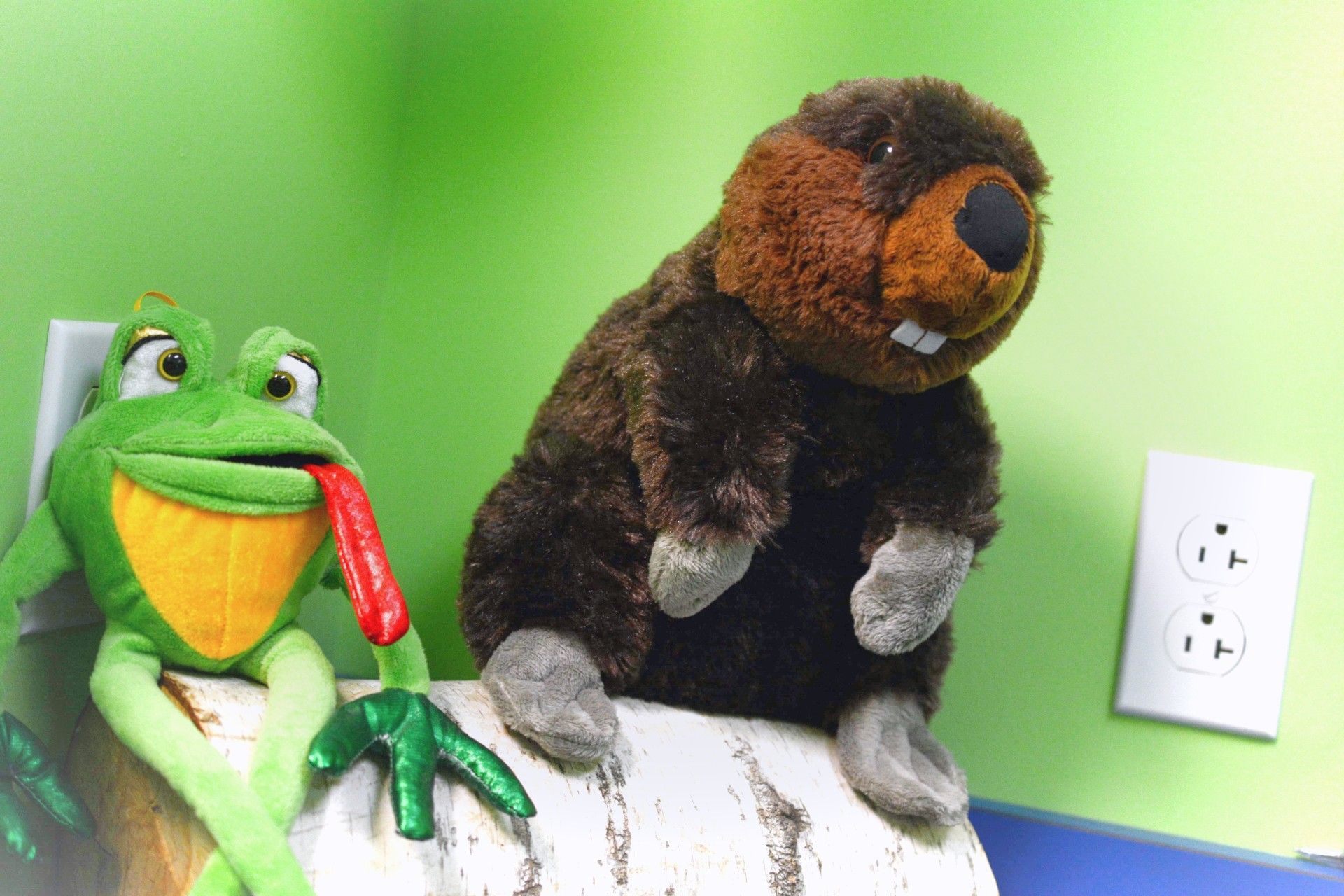 Green plush frog and black-brown plush monkey on a white couch against a green wall, with a light switch.