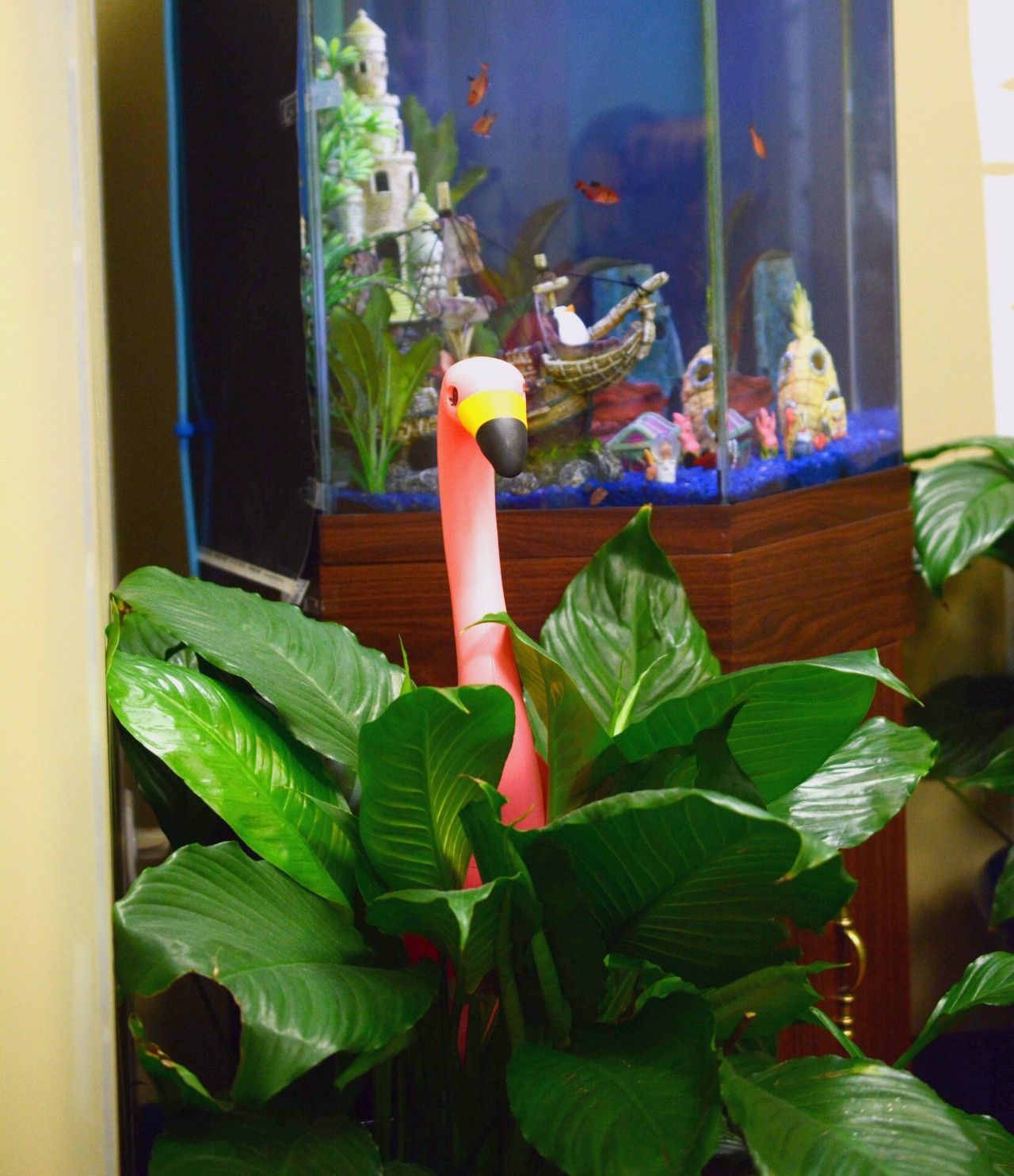Pink flamingo statue beside a lush green plant in front of a fish tank