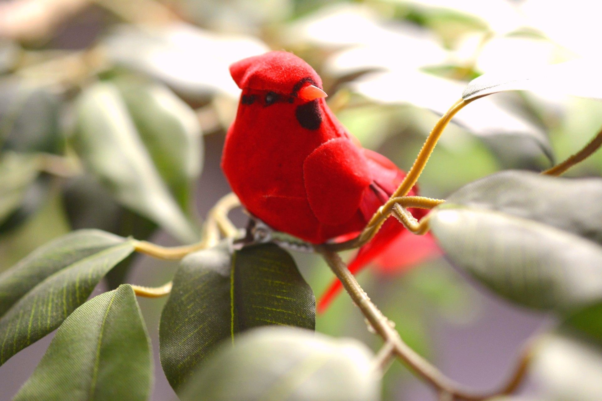 Bright red bird perched on green leafy branches