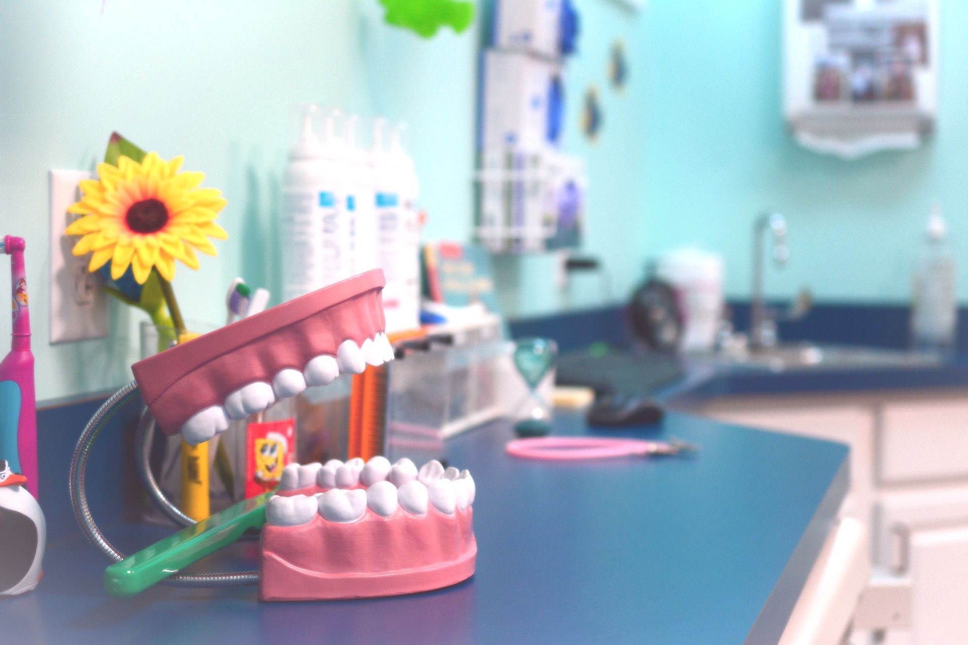 Dental models on a counter in a bright clinic, with a sunflower in a vase and teal walls in the background