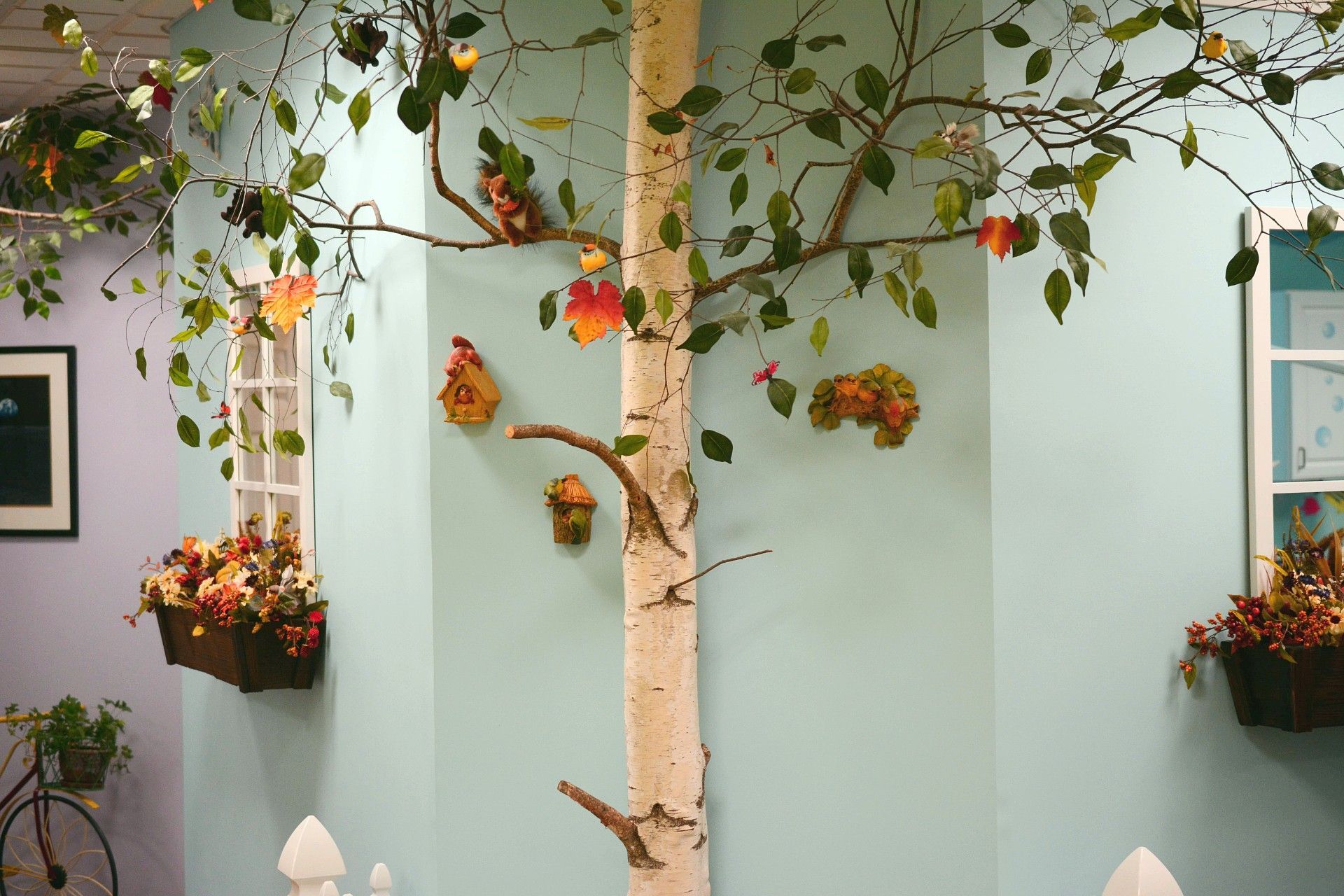 A pale green courtyard wall with a white-barked tree and hanging flower baskets.