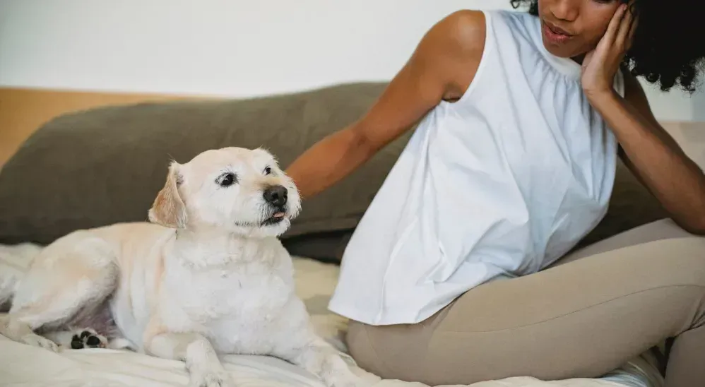 A woman is sitting on a bed with a dog.
