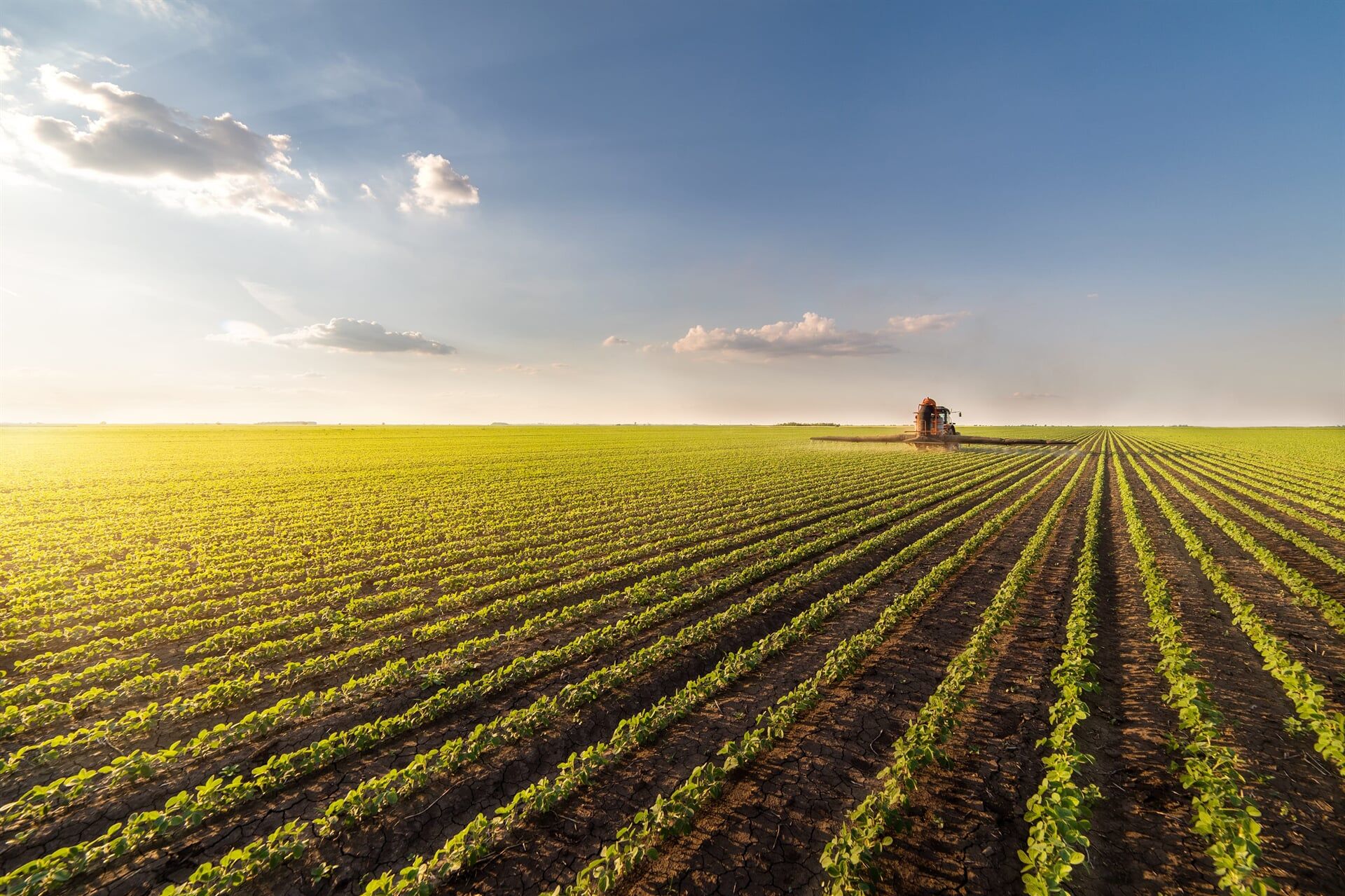 Rural Field— Solicitors Dubbo