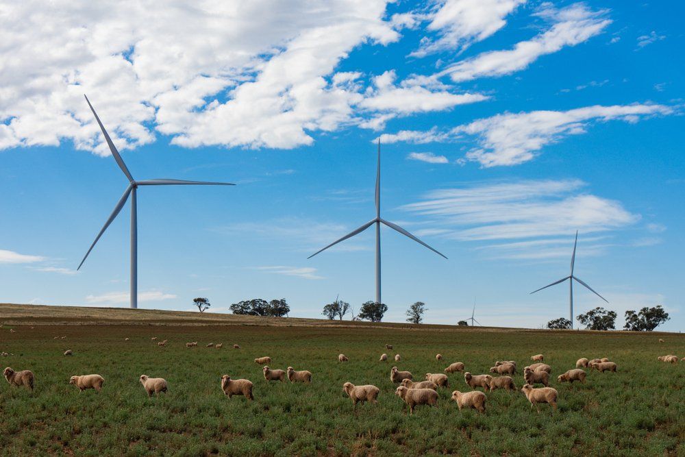 Wind Farm Generating Green Energy — Lawyers in Dubbo, NSW
