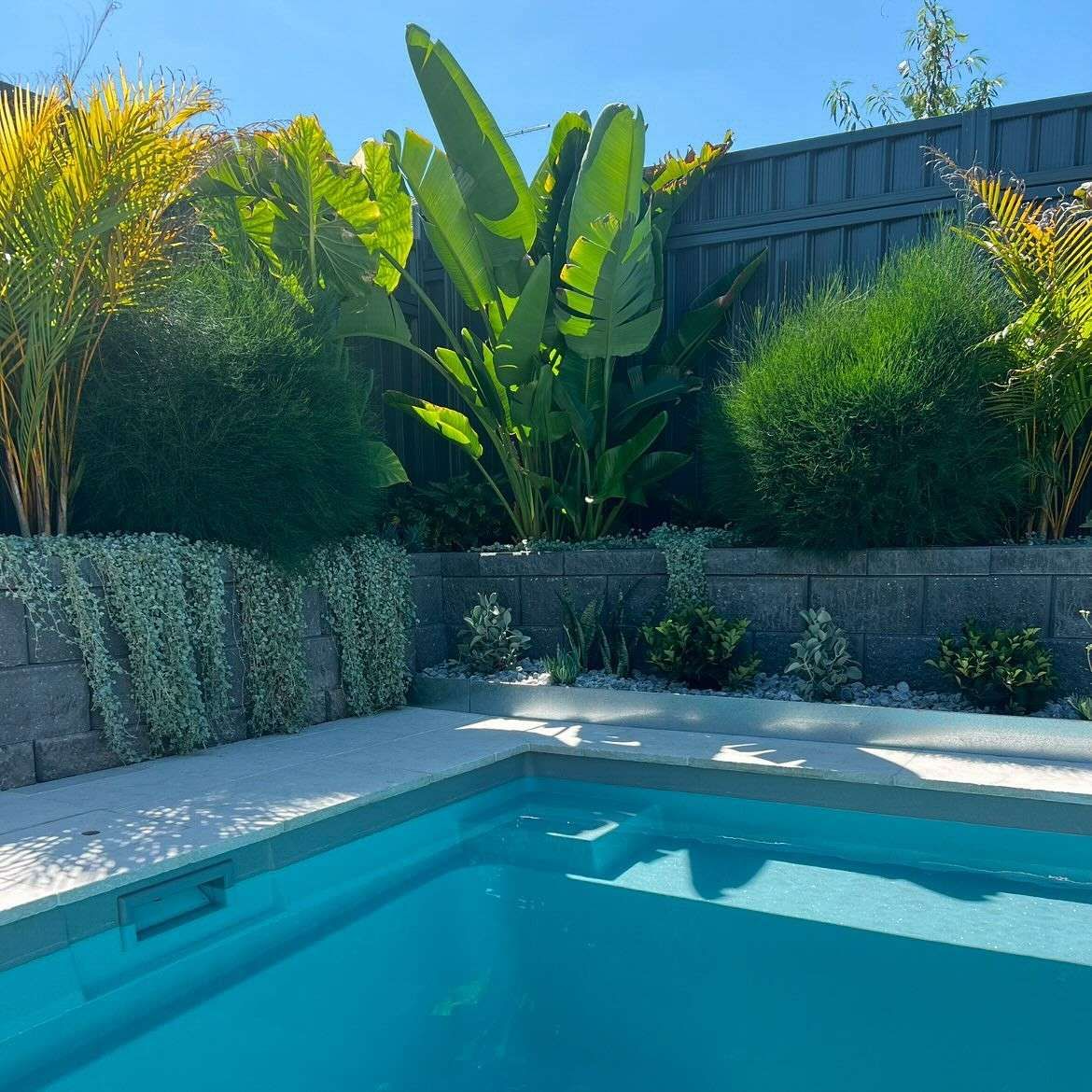 A Swimming Pool Surrounded by Trees — Billabong Pool Co in Wollongong, NSW