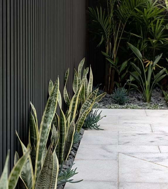 A Row of Plants Growing Next to A Fence — Billabong Pool Co in Smeaton Grange, NSW