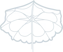 An Umbrella Logo — Billabong Pool Co in Smeaton Grange, NSW