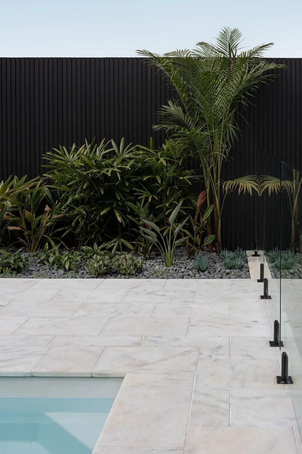 Modern Poolside Patio With Pale Stone Tiles, Tropical Plants — Billabong Pool Co in Smeaton Grange, NSW