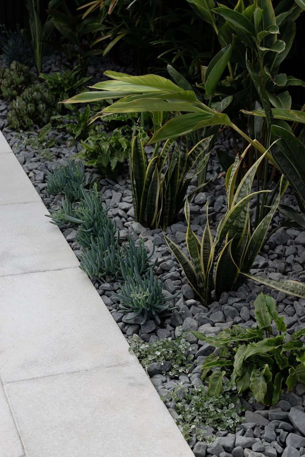 Modern Landscaped Walkway With White Pavers — Billabong Pool Co in Smeaton Grange, NSW