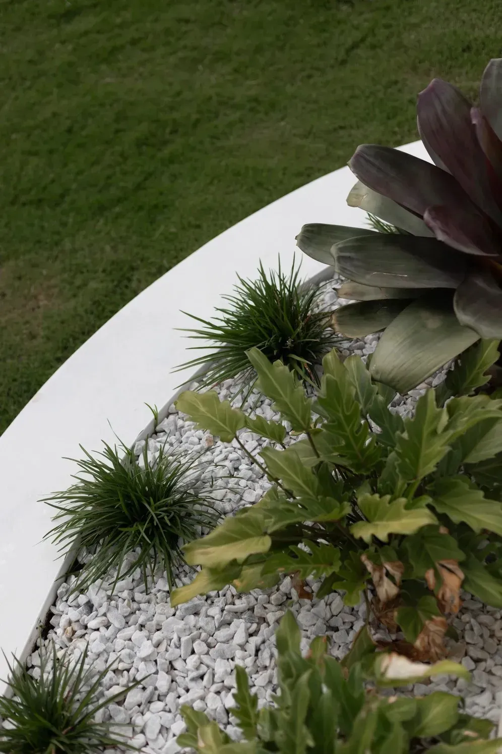 White Garden Bed With Spiky Green Plants and Broad-leaf Foliage Beside a Lawn — Billabong Pool Co in Smeaton Grange, NSW