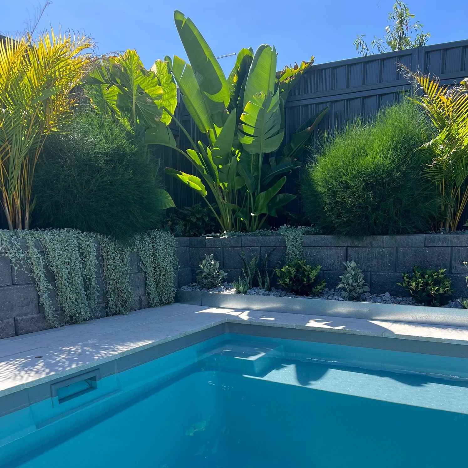 Backyard Swimming Pool Beside a Stone Patio — Billabong Pool Co in Smeaton Grange, NSW