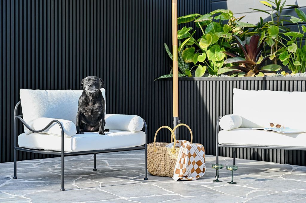 Black Dog on White Outdoor Sofa Beside Wicker Basket and Potted Plants on a Patio — Billabong Pool Co in Smeaton Grange, NSW