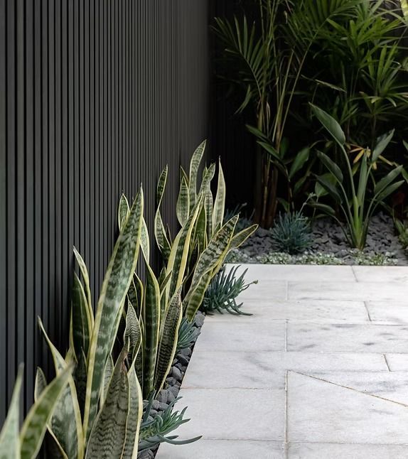 Plants Next To A Wall With Tiles — Billabong Pool Co in Camden, NSW