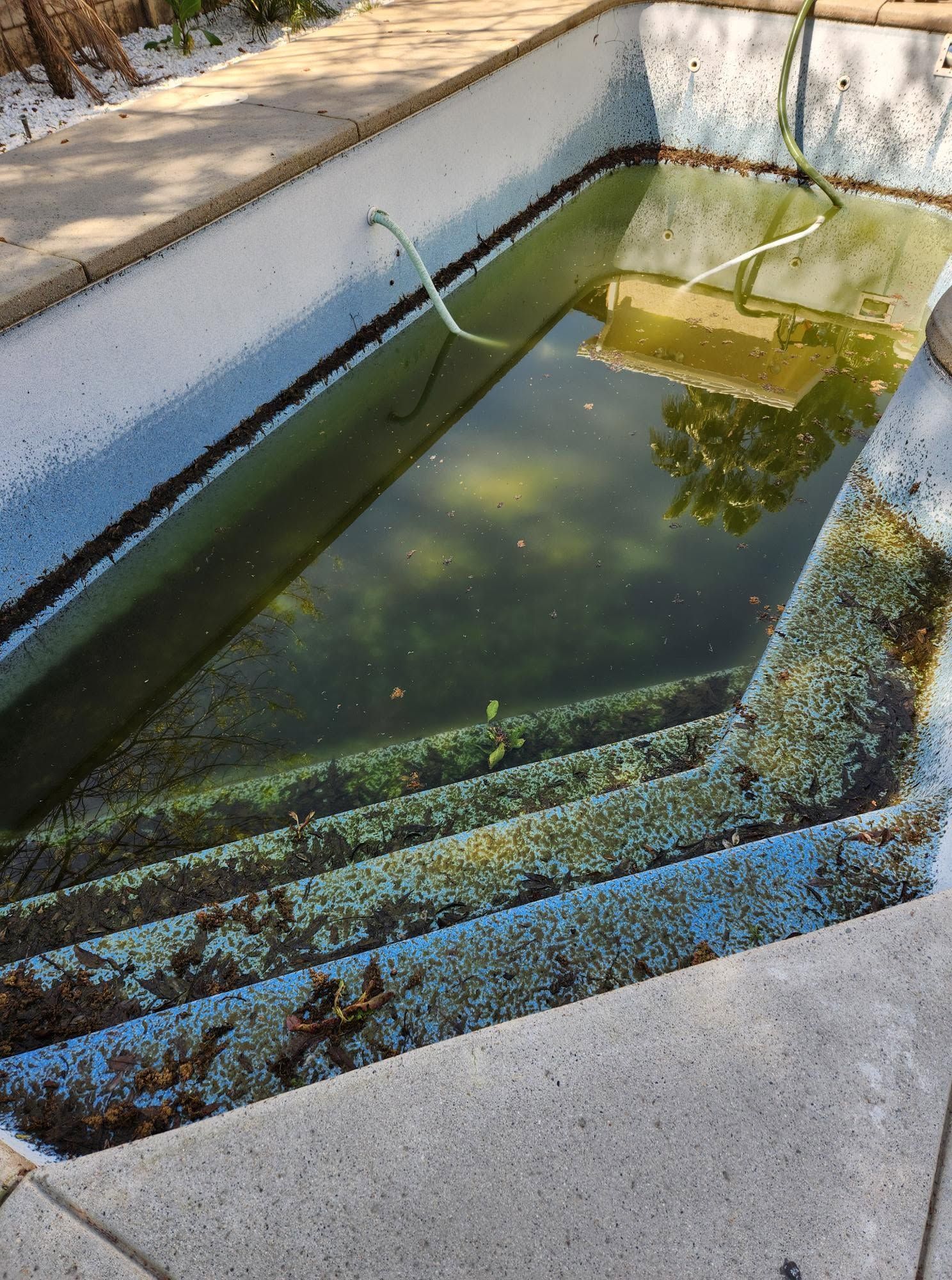 Algae-filled concrete pool with murky green water and two fountain jets