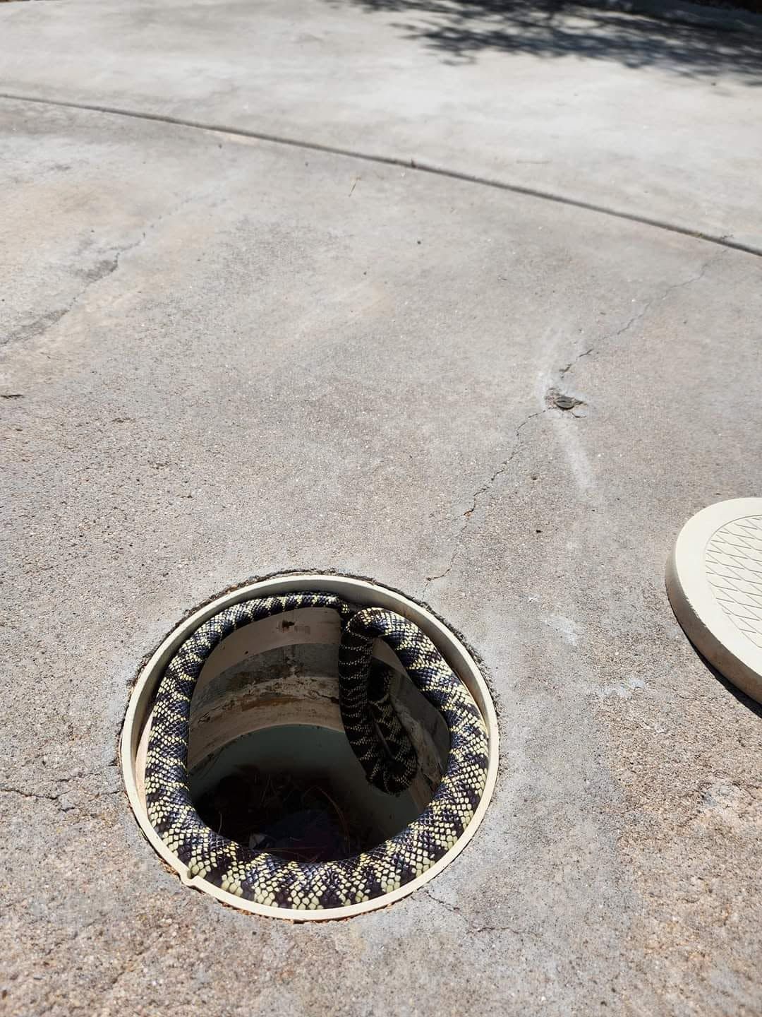 Open manhole on a concrete driveway, with a white round cover nearby.