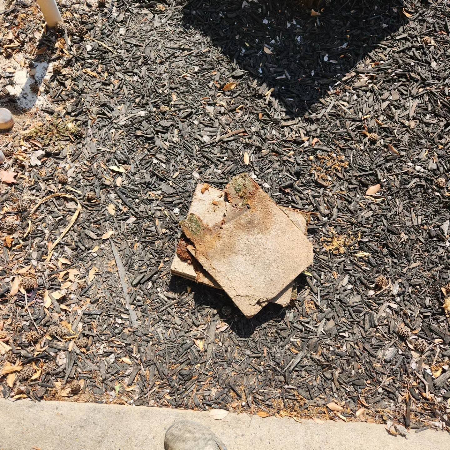 Broken tan tile on dark mulch beside a concrete edge, with a shoe partly visible nearby