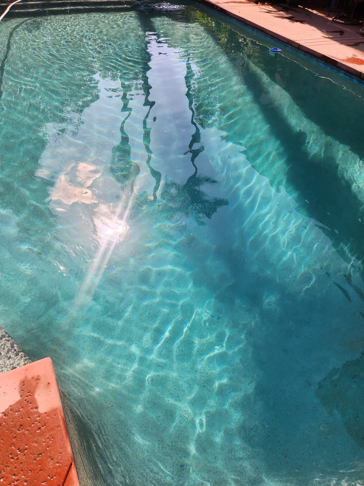 Sunny blue swimming pool with rippling water and a tiled edge