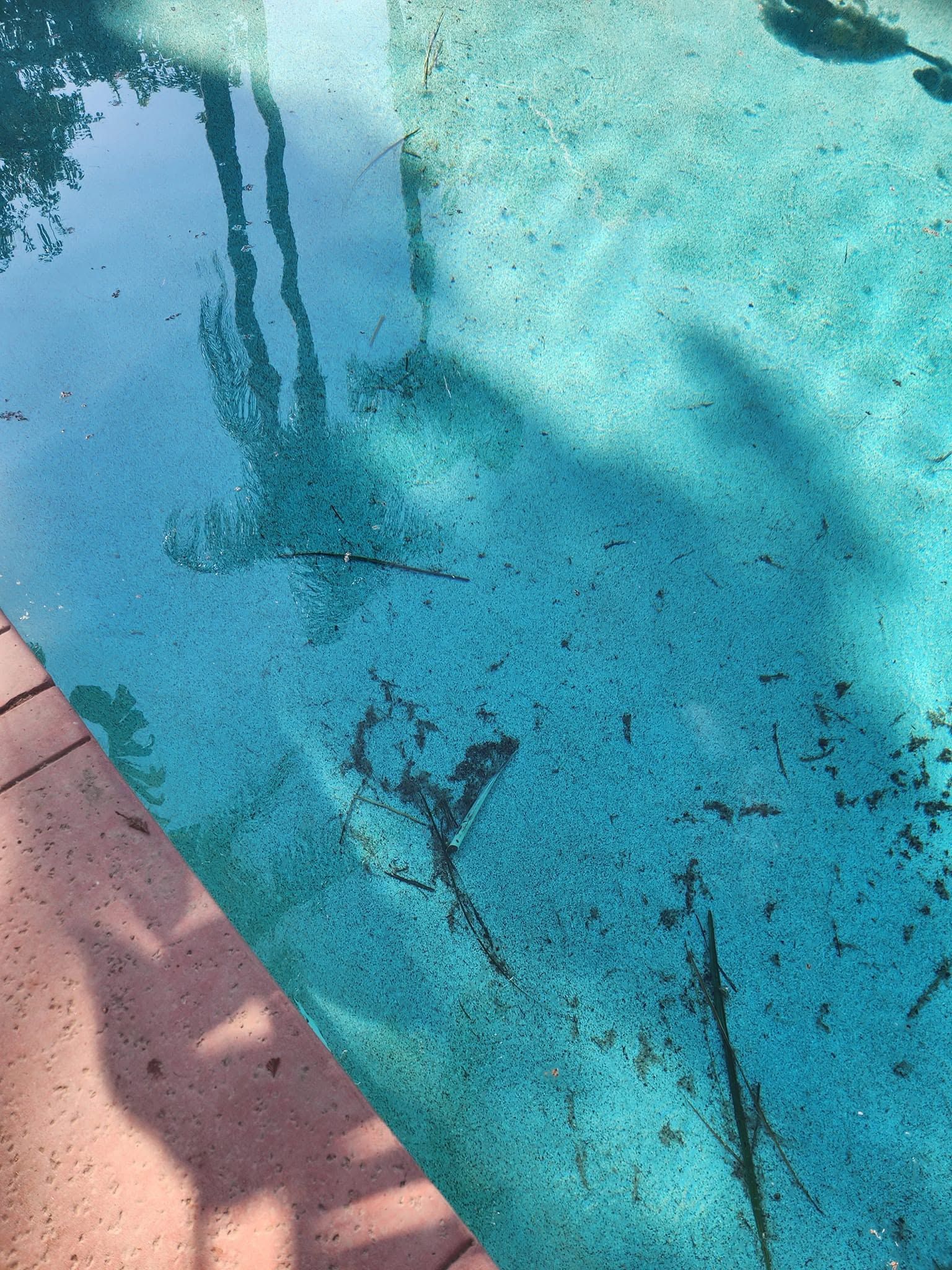 Shaded turquoise pool water beside a terracotta deck, with dark reflections and shadows