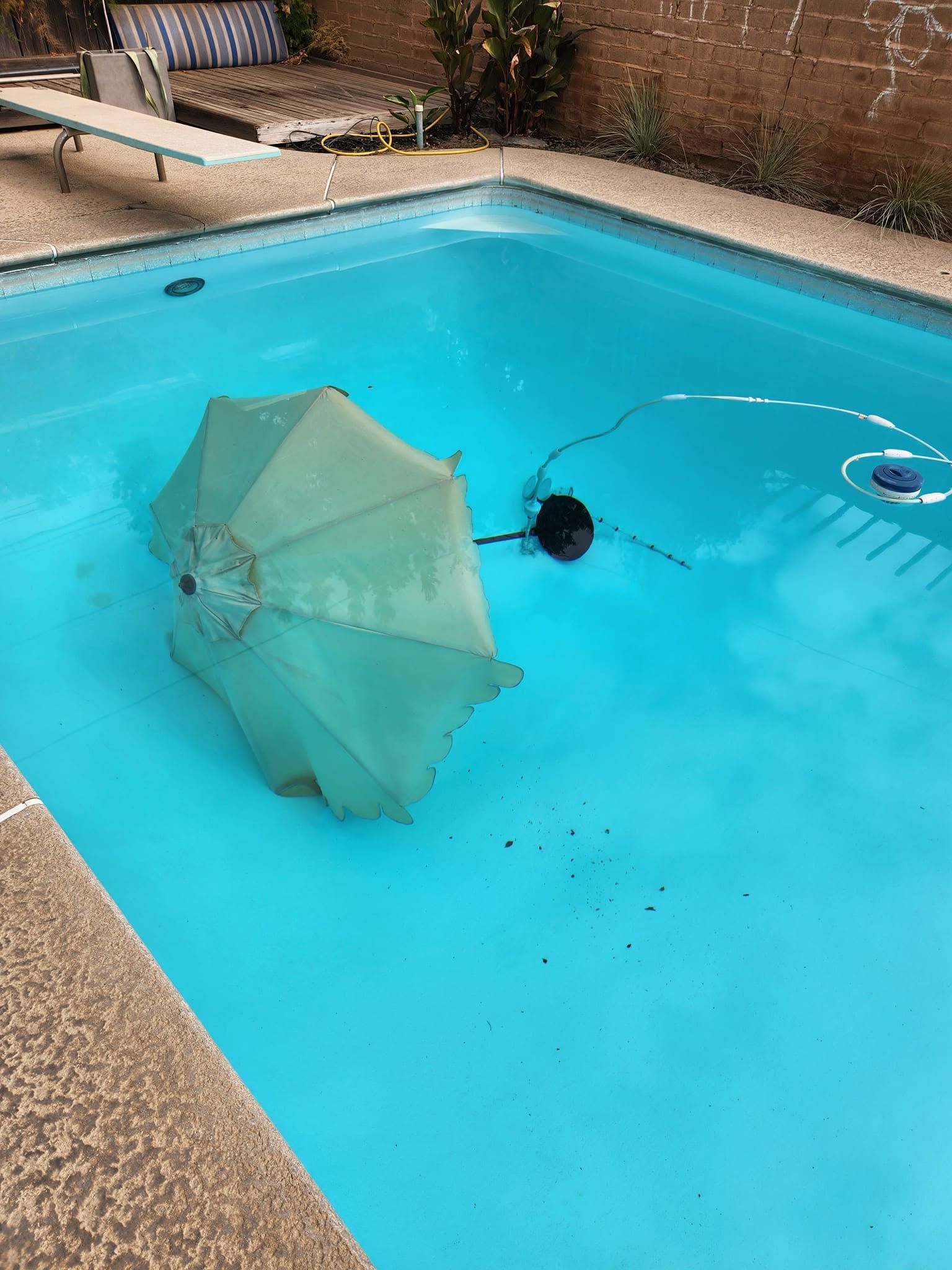 Pool skimmer net floating in a backyard swimming pool with a black float and hose attached