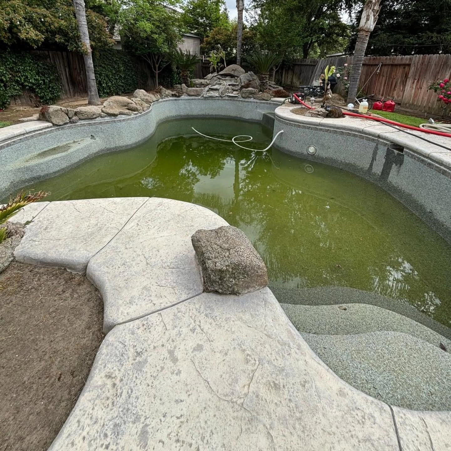 Empty backyard pond with green water, stone edging, and a small waterfall area surrounded by trees and plants