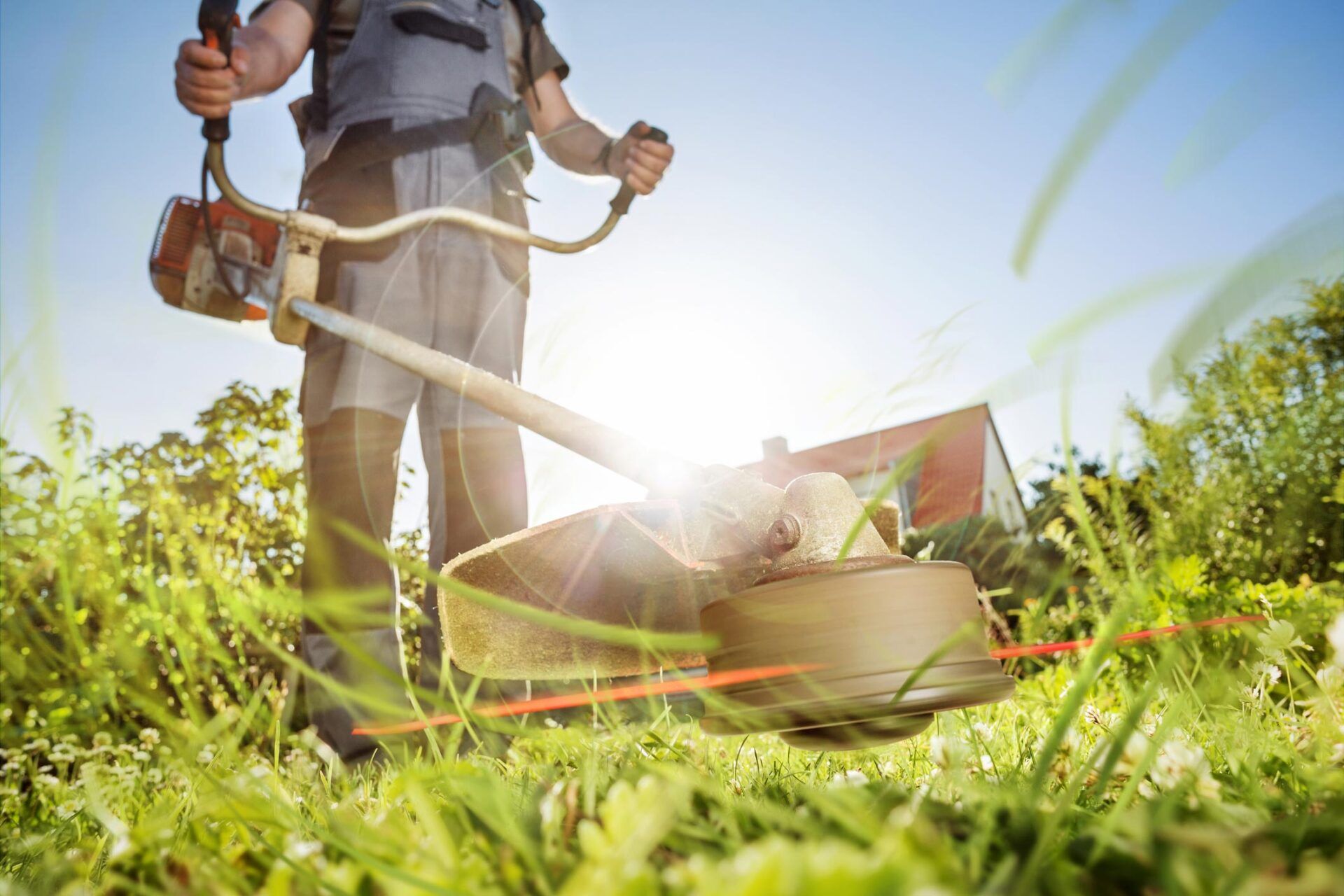 Gardening With A Brush Cutter - Warren, MI - Maple Lane Pest Control