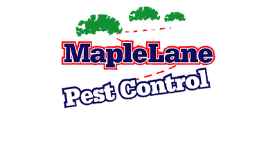 Maple Lane Pest Control Maple Lane Pest Control