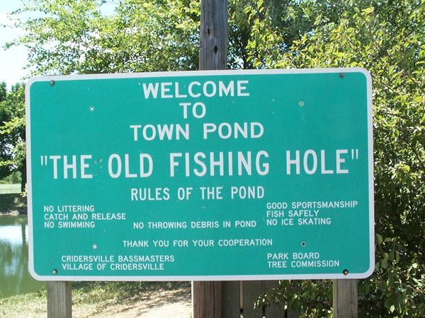 Green sign at Town Pond, 