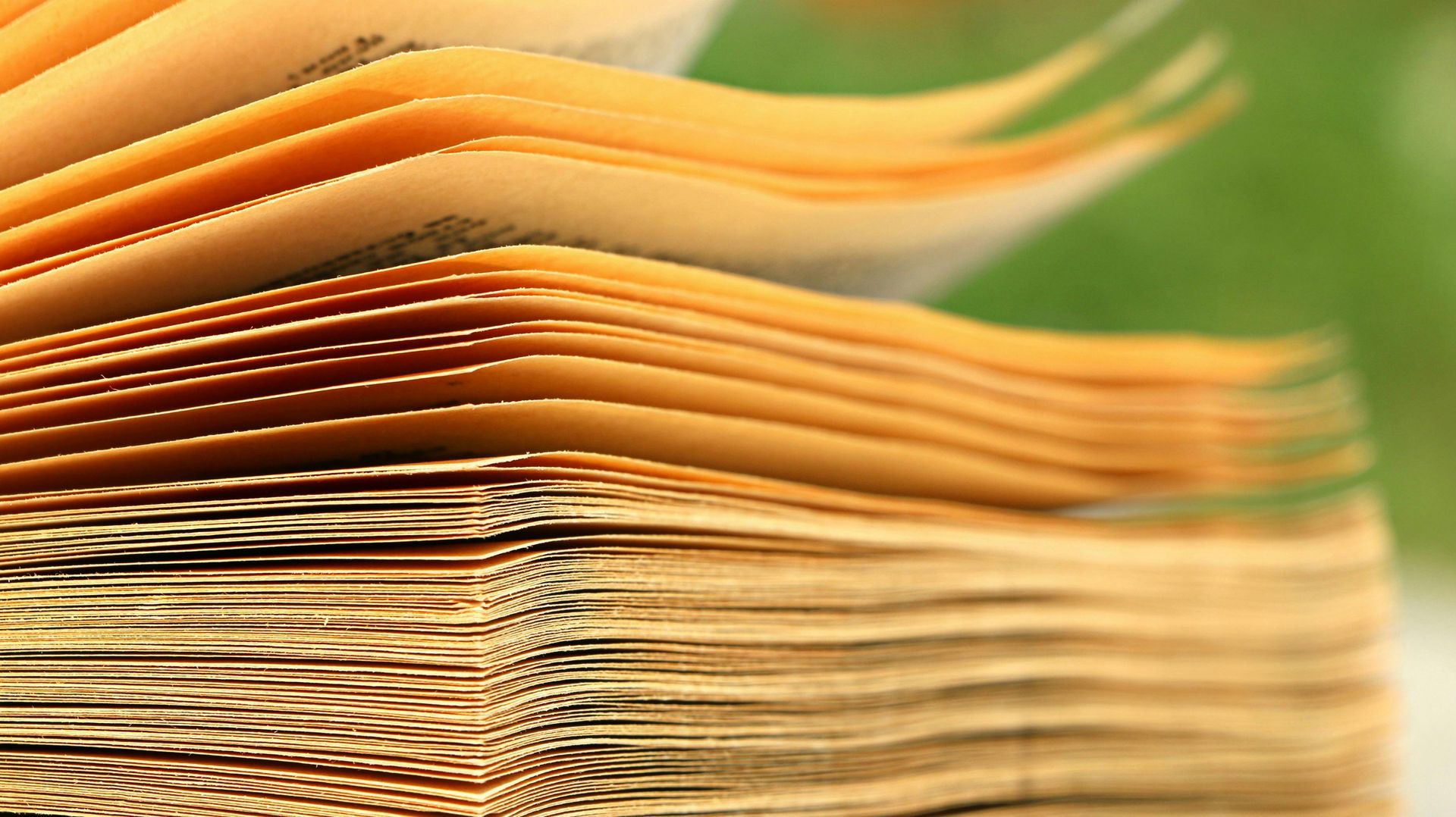 Open book, pages fanned out, showing textured, yellowed paper with blurred green background.
