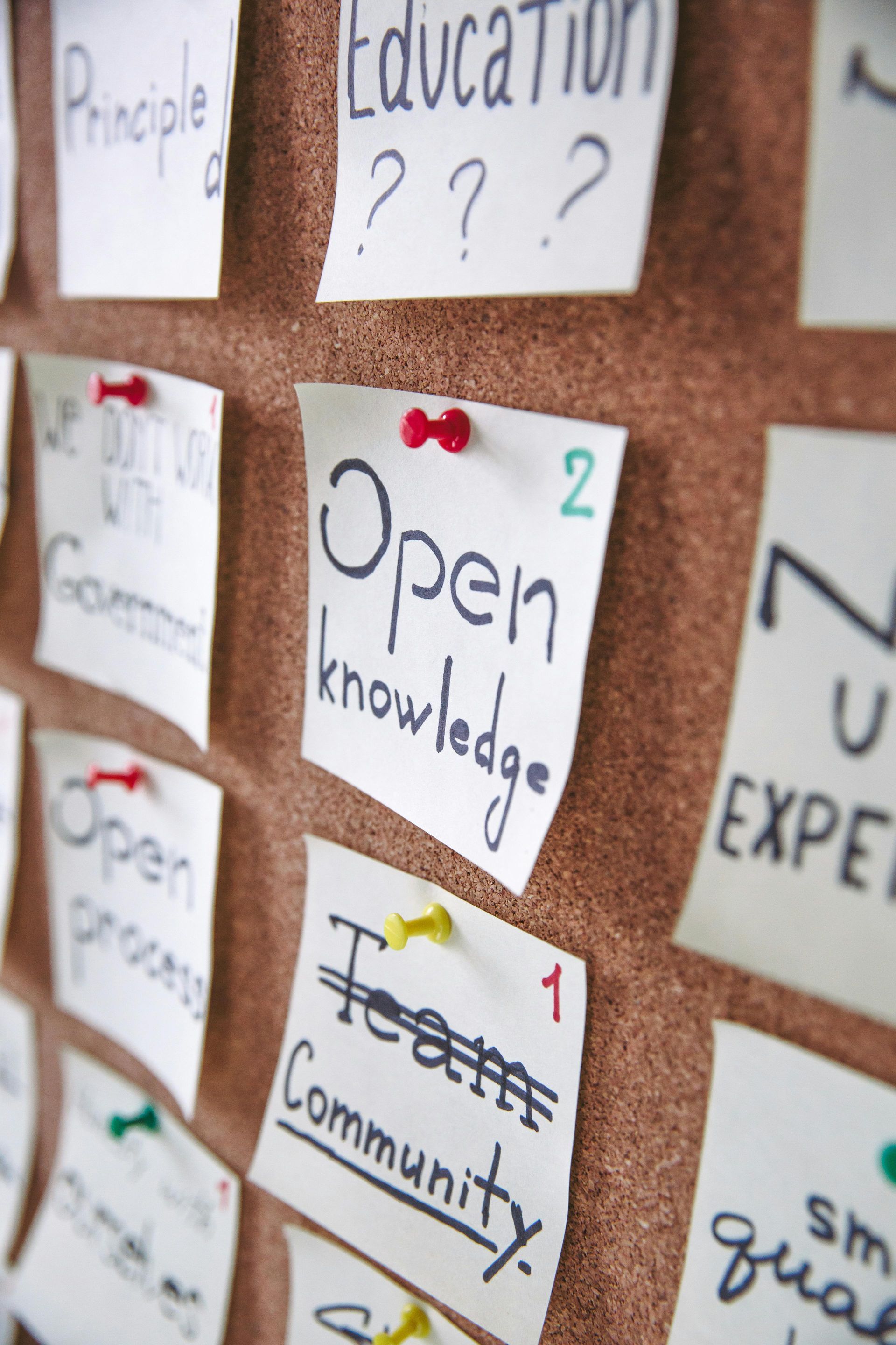 Corkboard with sticky notes: