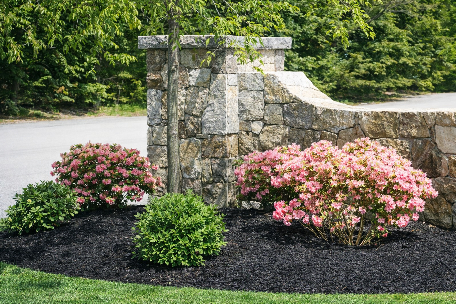 Stone garden wall beside pink flowering shrubs and a small green bush in a landscaped bed