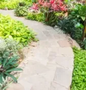 Curved stone garden path bordered by lush green and red tropical plants