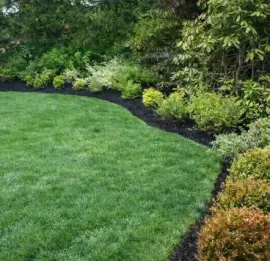 Lush green lawn edged with dark mulch and shrubs along a white fence