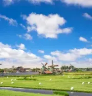 Green meadow with windmills and a blue sky dotted with clouds