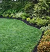 Lush green lawn edged with dark mulch and shrubs along a white fence