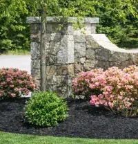 Stone landscaping wall with pink flowering shrubs and a green bush in a mulched garden bed