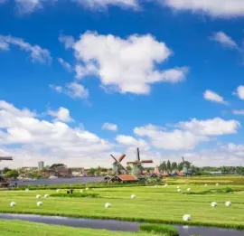 Green meadow with windmills and a blue sky dotted with clouds