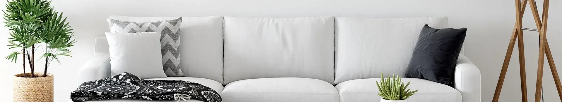 A living room with a white couch and a potted plant.