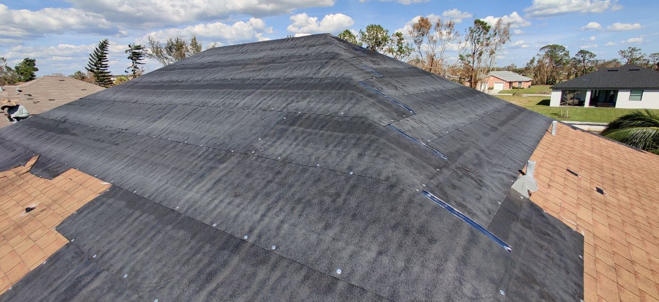 Large roof covered with black roofing underlayment, with surrounding homes and trees in the background