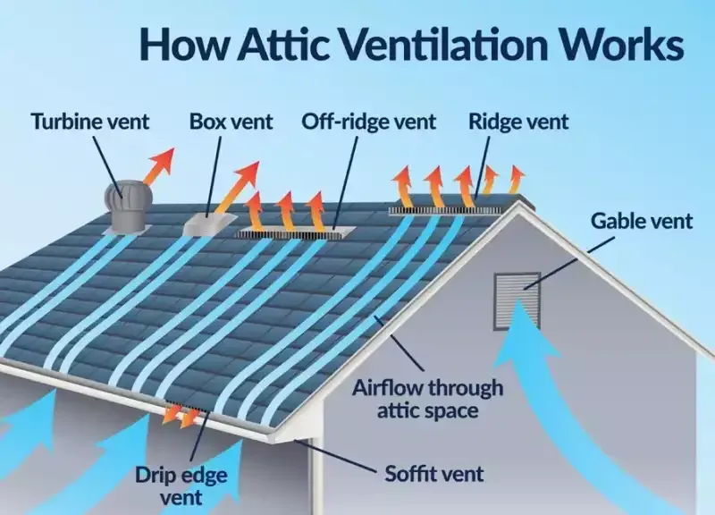Diagram showing attic ventilation with labeled vents and airflow arrows through a house roof.
