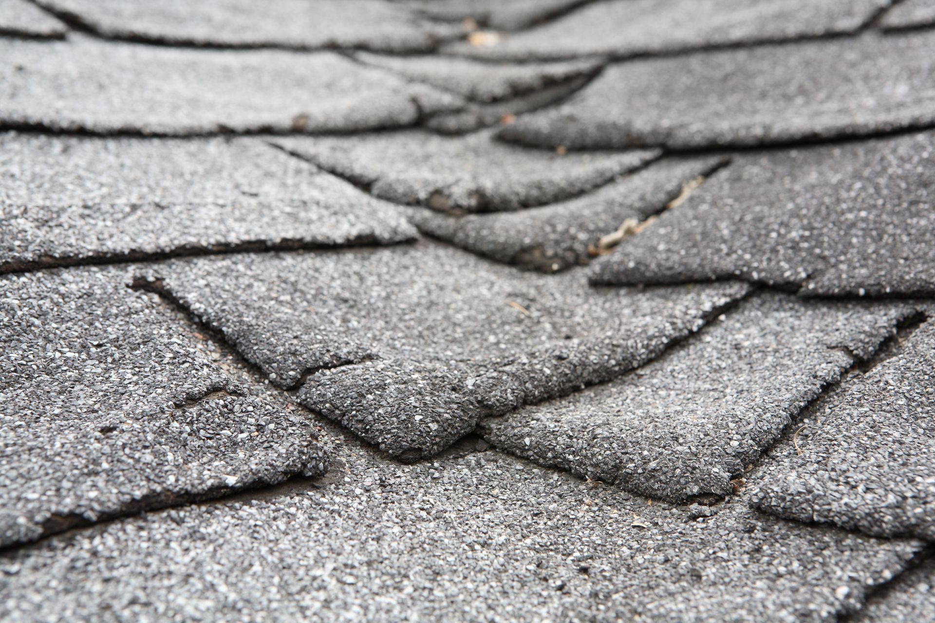 Close-up of cracked gray asphalt pavement with layered, overlapping fissures