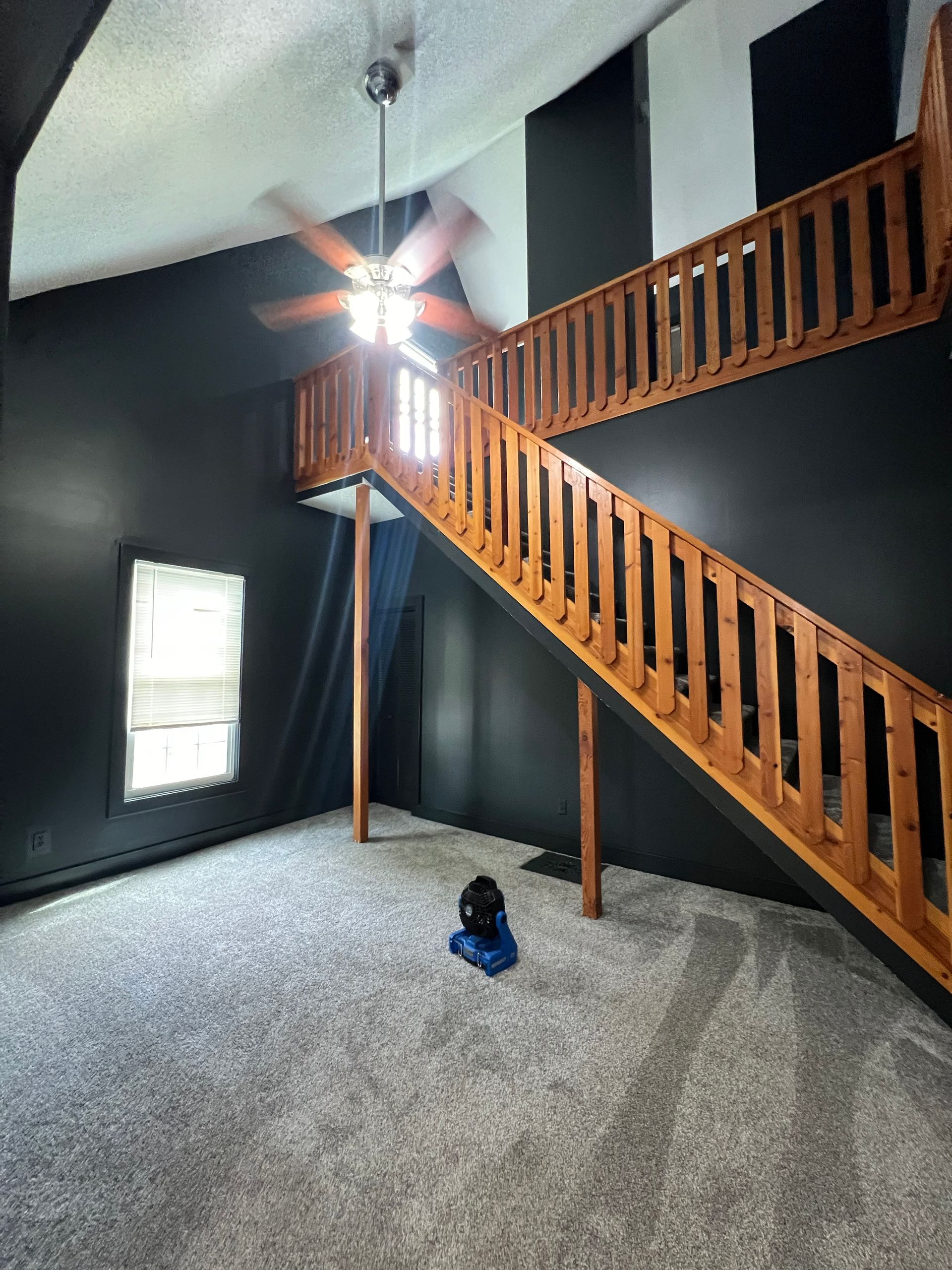 Interior with wood stairs leading to a loft, black walls, gray carpet, and a ceiling fan.