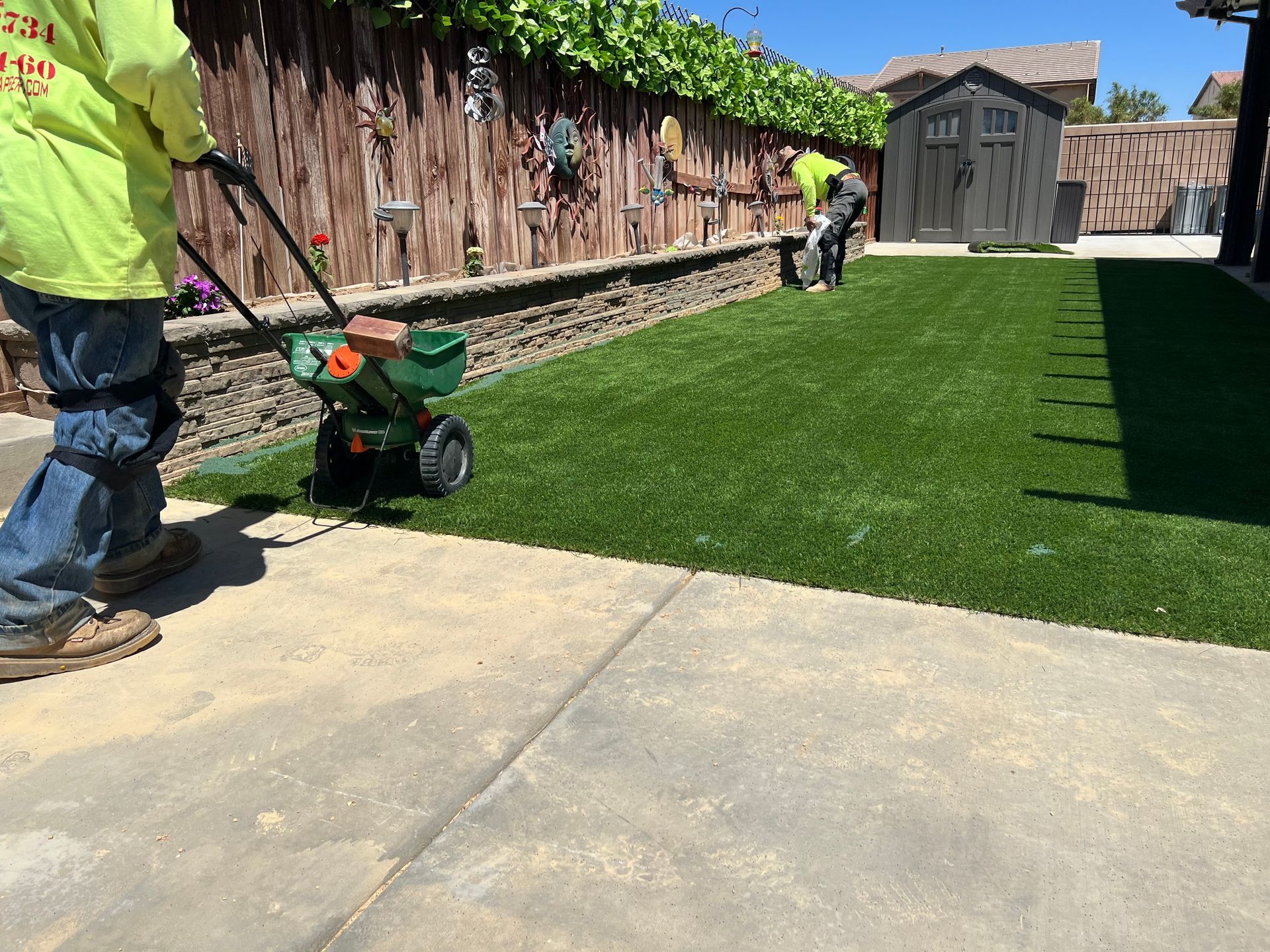 A man is spreading fertilizer on a lush green lawn