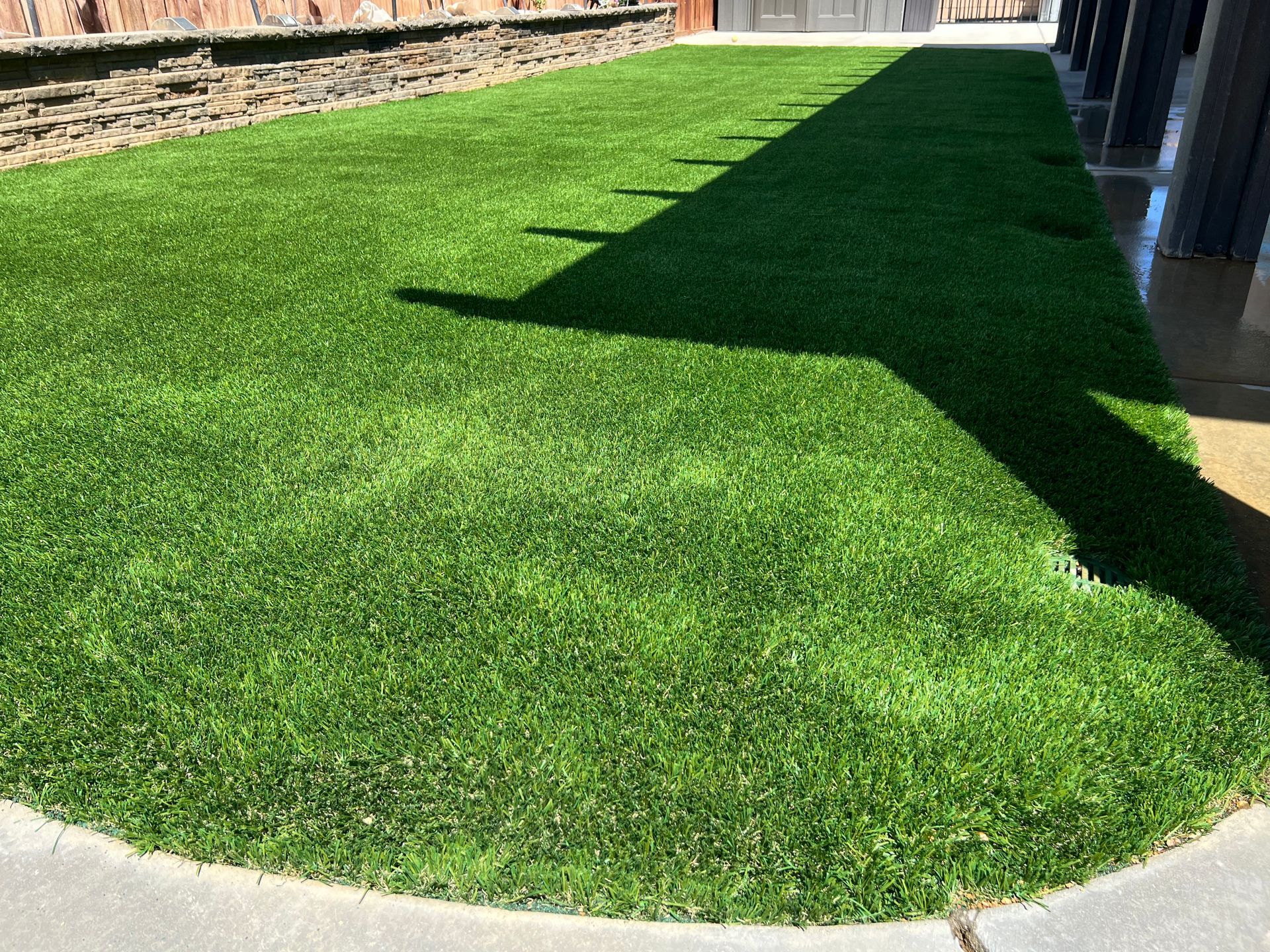A lush green lawn with a shadow on the sidewalk.