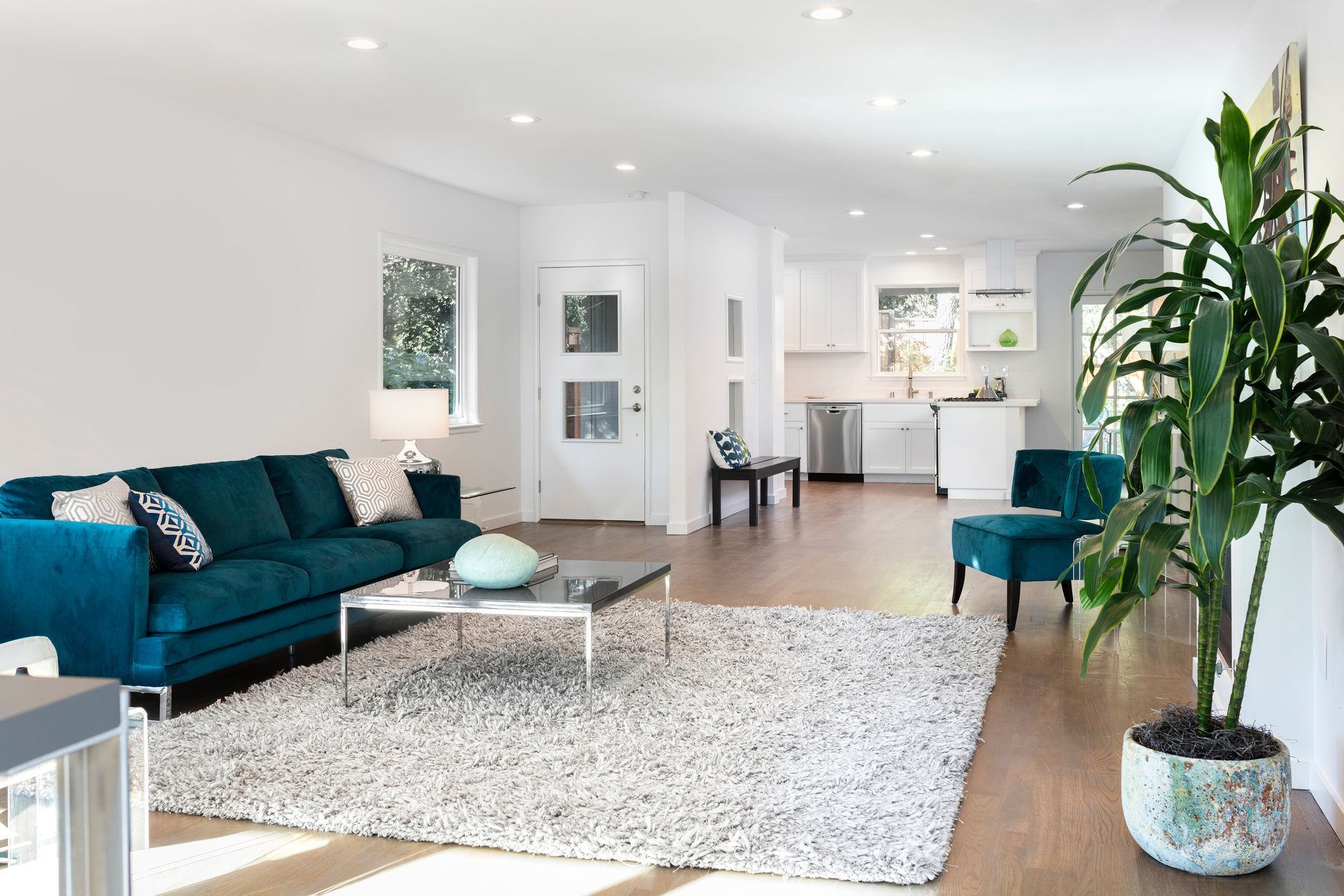 Bright modern living room with teal sofa, shag rug, teal chair, and tall potted plant